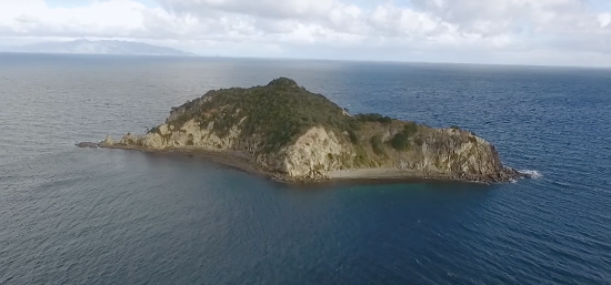 Whangara Island, the small island referred to as ‘Alcatraz’