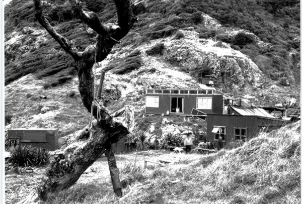 Buildings and a rope swing at Whakapakari