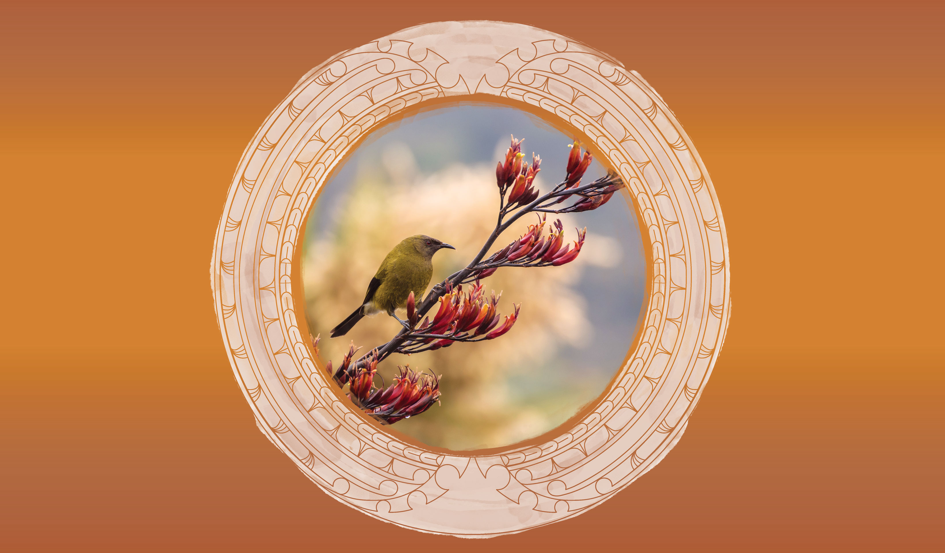 BellBird MainBanner